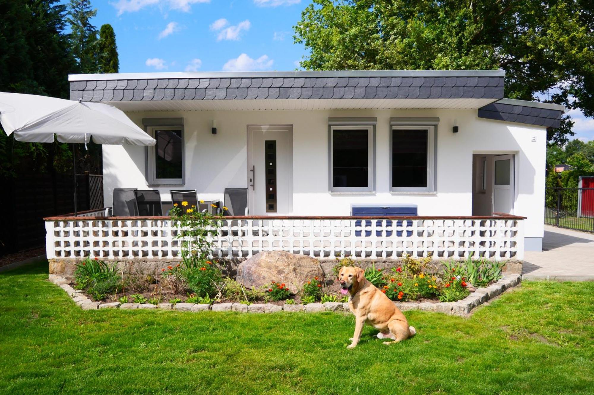 Haus Kleiner Findling Im Lausitzer Seenland Tätzschwitz Exterior foto